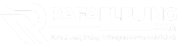 Logo Rafaelpuing